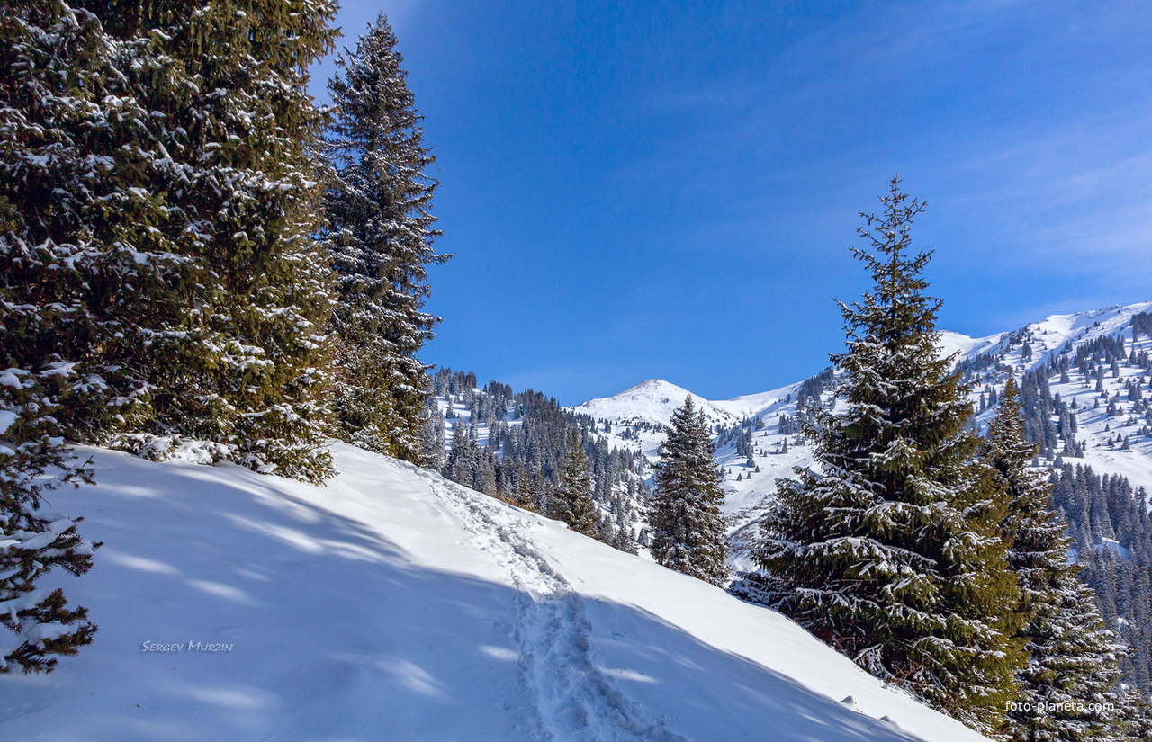 Алматы. Иле-Алатауский национальный парк. Ущелье Ким асар.