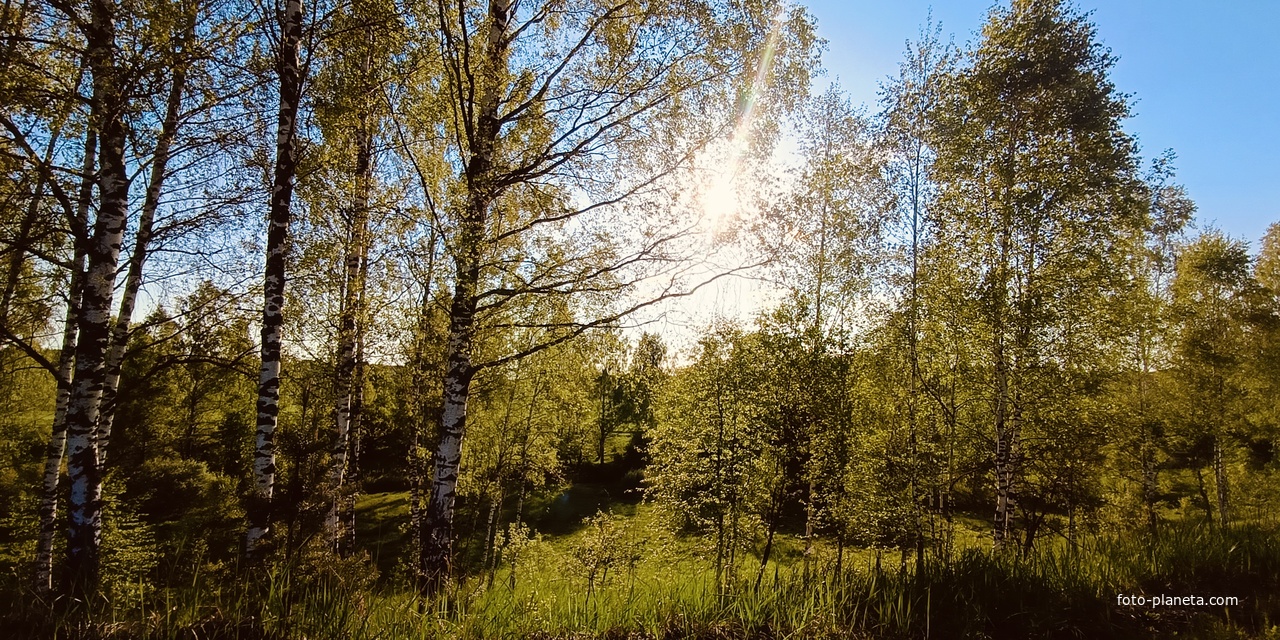 Д. Подберезье, река Пополта