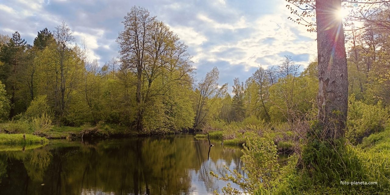 Д. Подберезье, река Подберезье