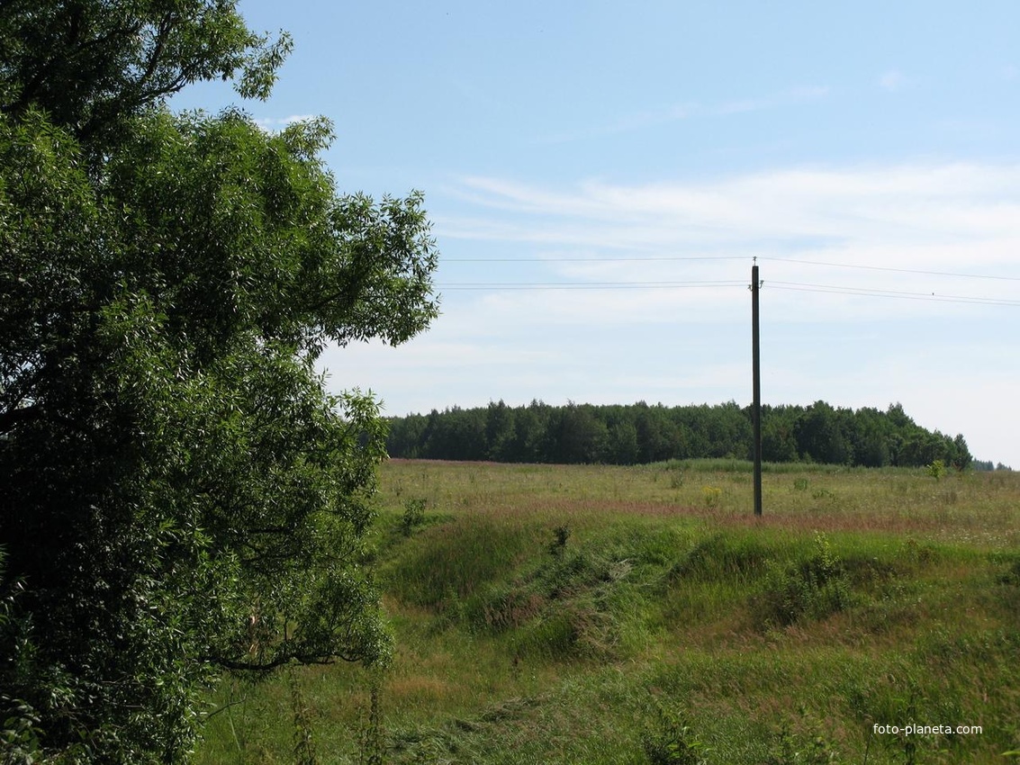 Улейский овраг, роща