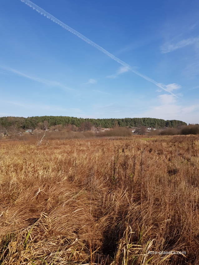 Добрый бор (малое село) , вид из за Щары