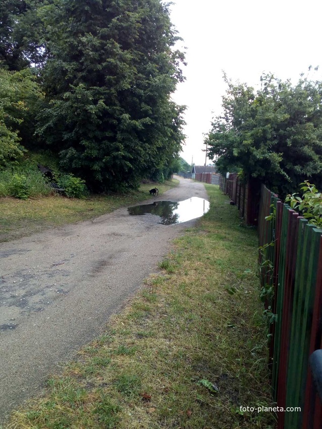 Добрый бор (малое село)