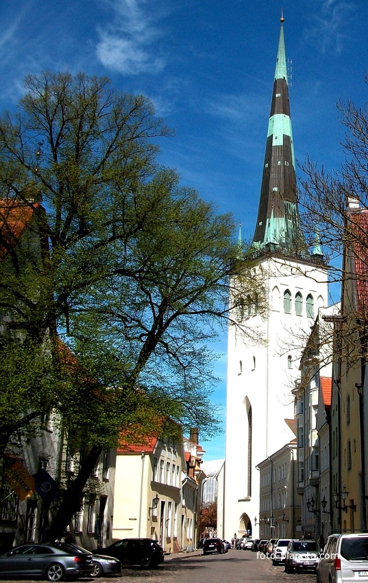 Church of the Saint Olaf's