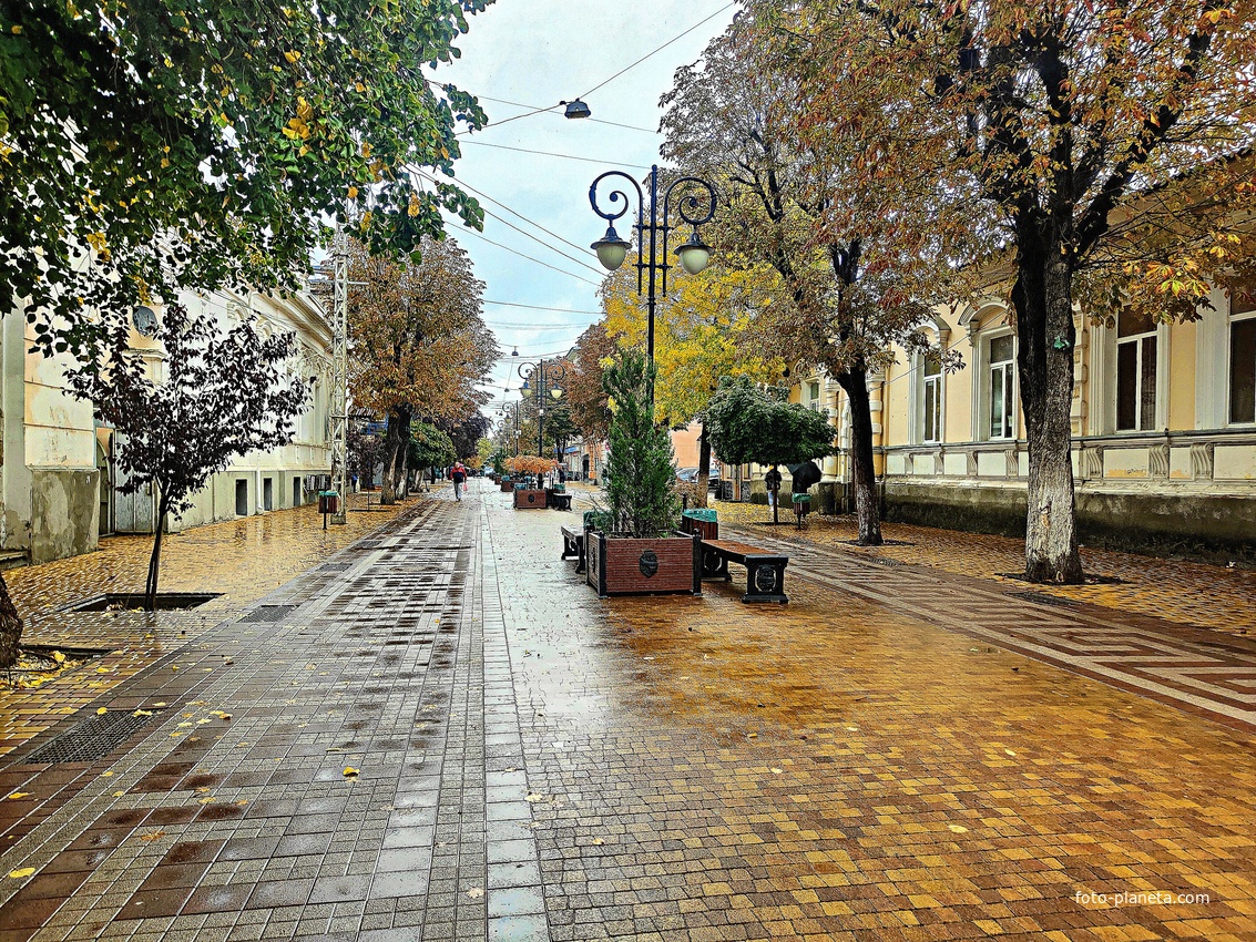Улица Пушкина.