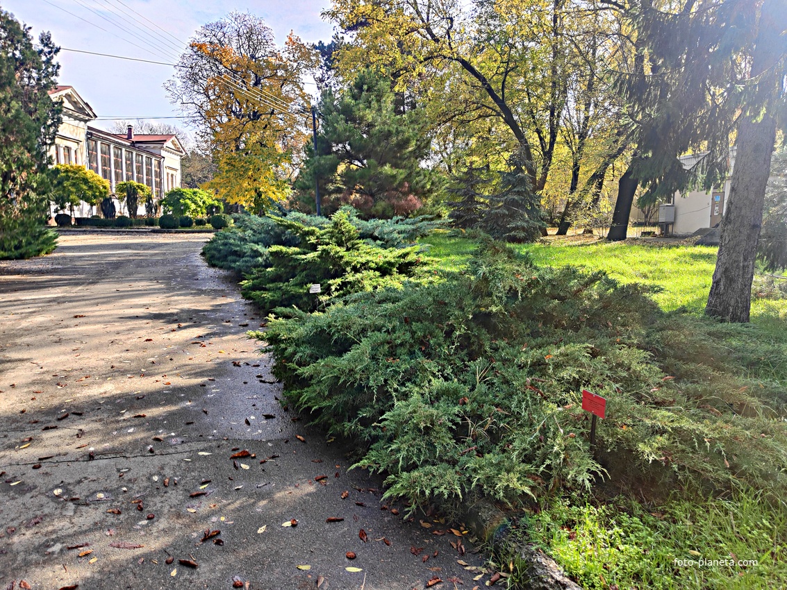 Ботанический сад им. Н. В. Багрова Таврической академии КФУ им. В. И. Вернадского (бывшего Таврич. нац. университета). Один из крупнейших парков города, основан в 1795 г. акад. П. С. Палласом. Бывшее название Салги́рка парк получил от реки Салгир.