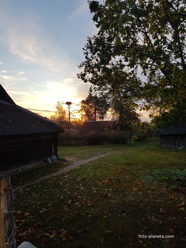 Добрый бор (центр)