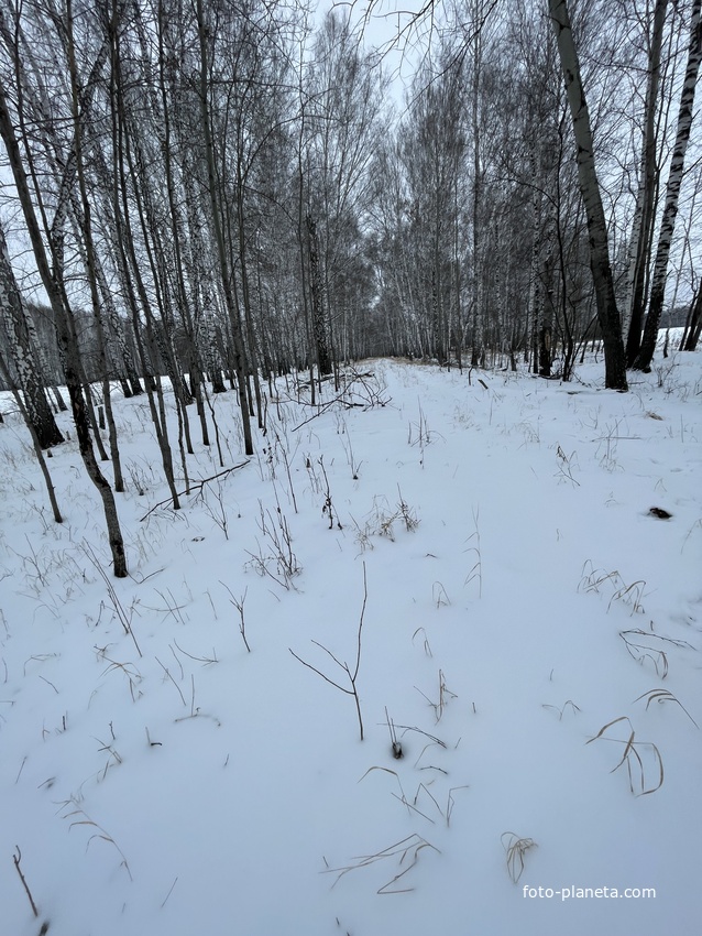 Впереди прямая дорога тракта