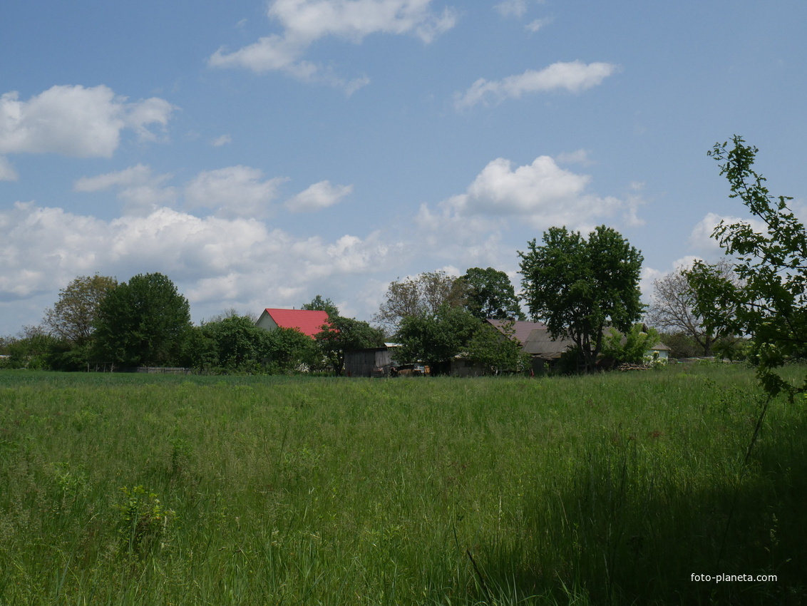 Медвідка, вулиця Підлісна