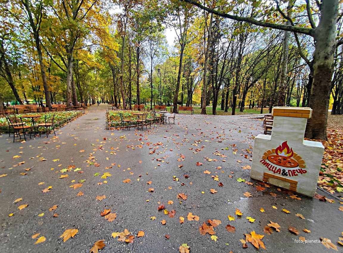 Парк имени Юрия Гагарина.