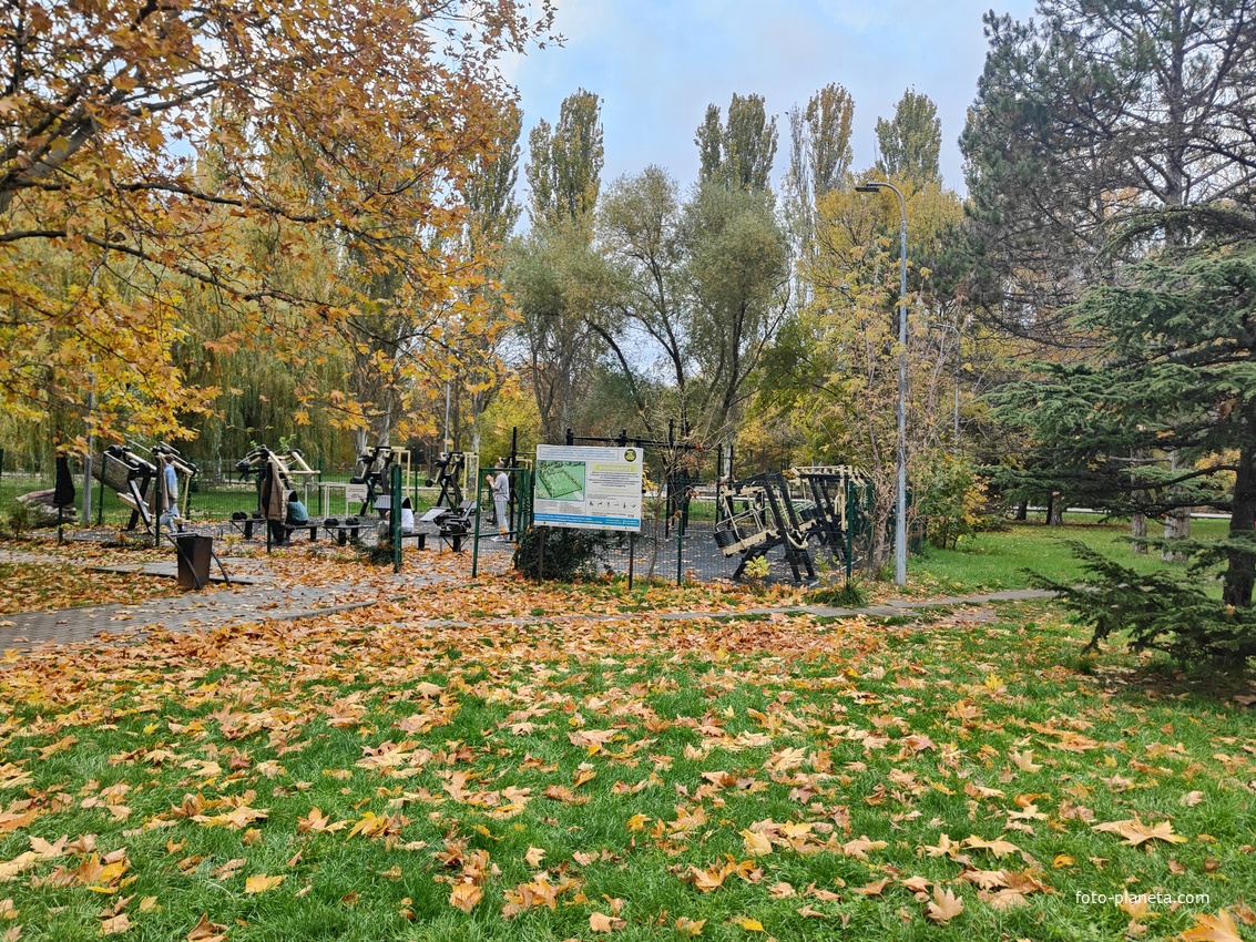 Парк имени Юрия Гагарина.