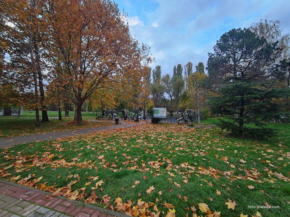 Парк имени Юрия Гагарина.