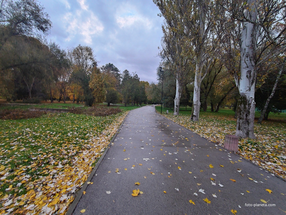 Парк имени Юрия Гагарина.