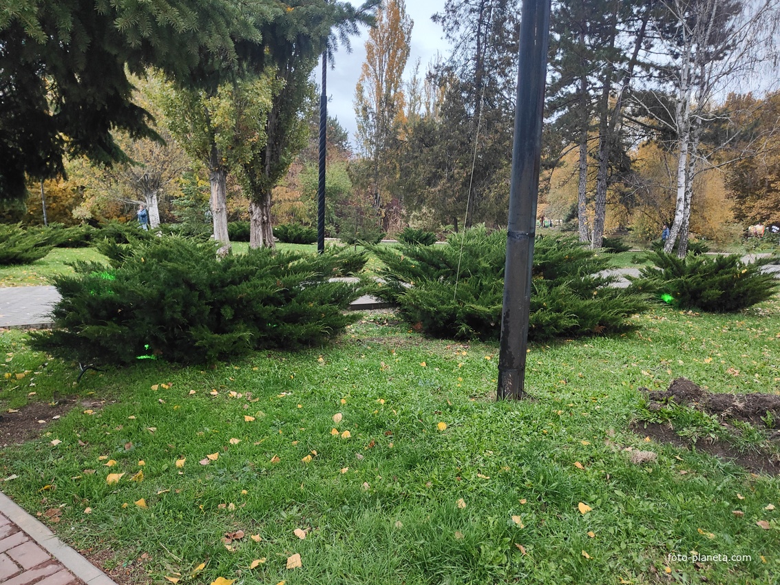 Парк имени Юрия Гагарина.