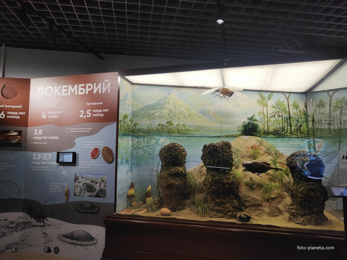 Исторический музей на улице Соборной, 22. Экспозиция «До нашей эры».