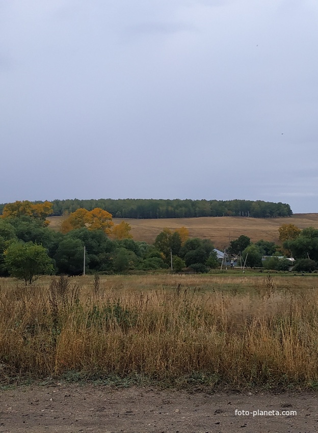 Осенний лес. Новое  Ганькино