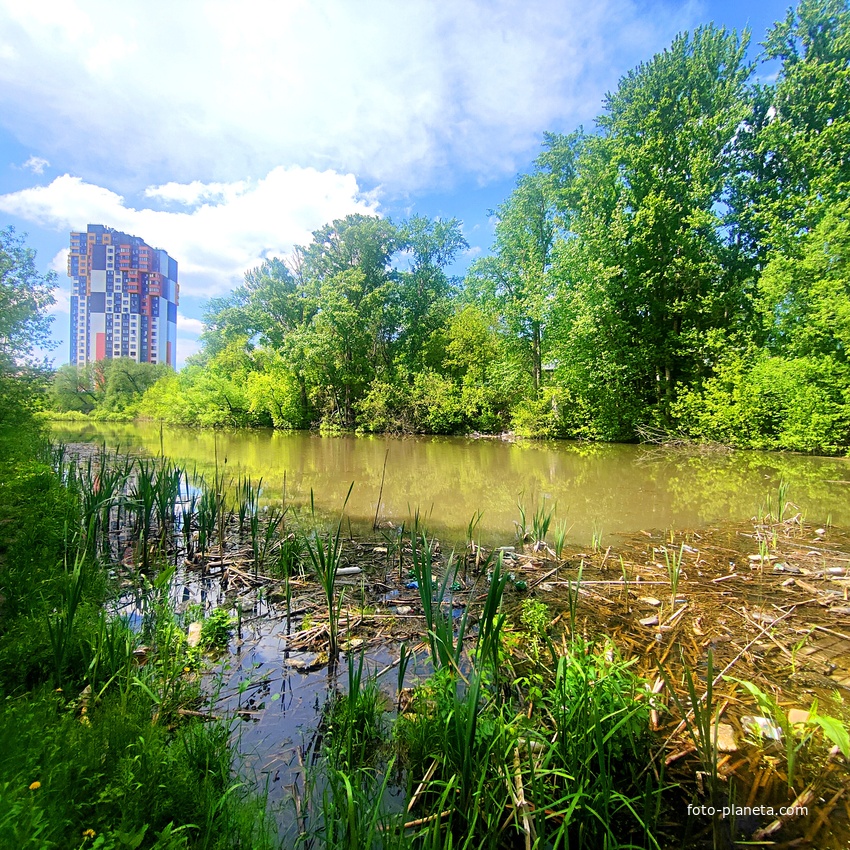 Голенчинский пруд №3 (верхний в каскаде прудов). Находится за чертой Мемориального парка героев Отечественной войны 1812 года.