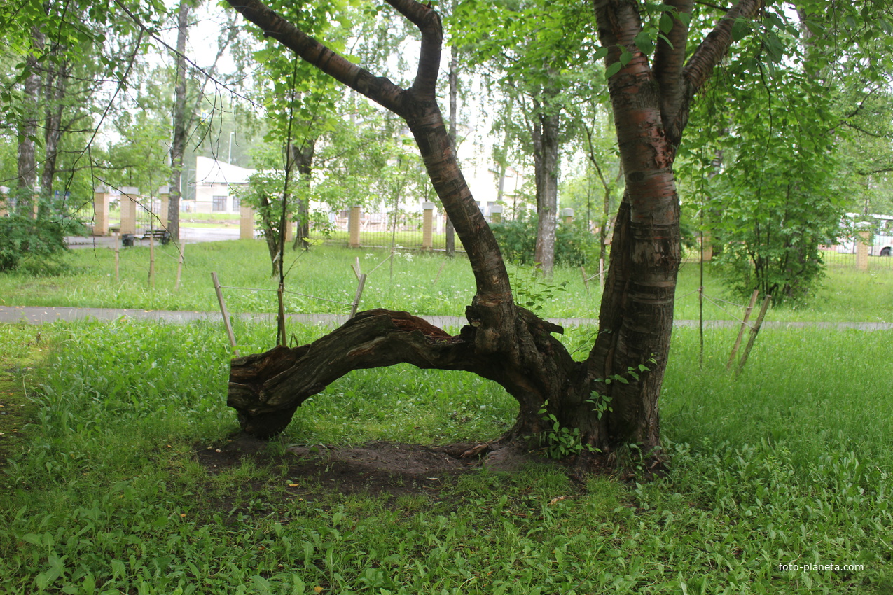 В Треугольном сквере.