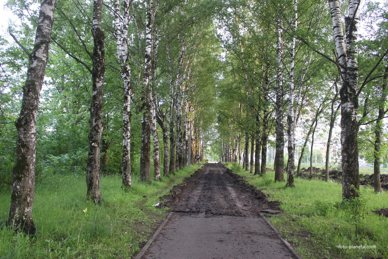 Реконструкция Молодёжной аллеи.