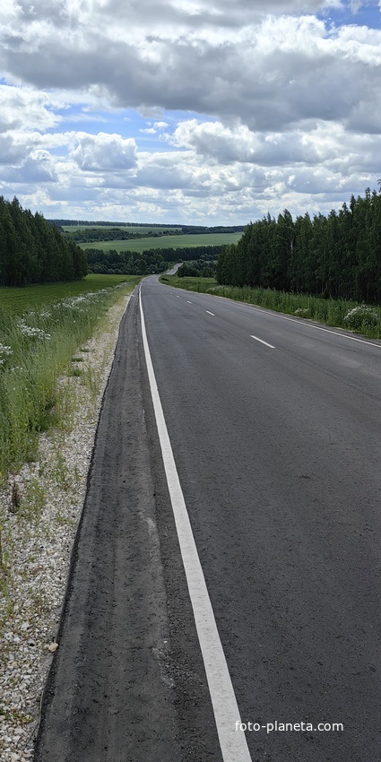 Челпановская гора , заезд со стороны Мичурино , Чамзинка