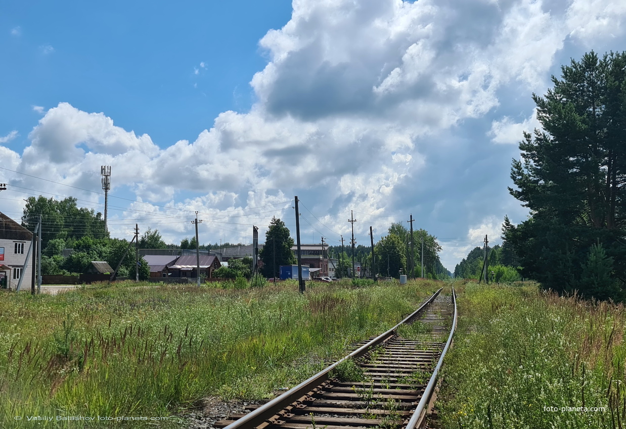 Пос. Головино, ж/д ветка около Амвросиевской церкви, вид к югу