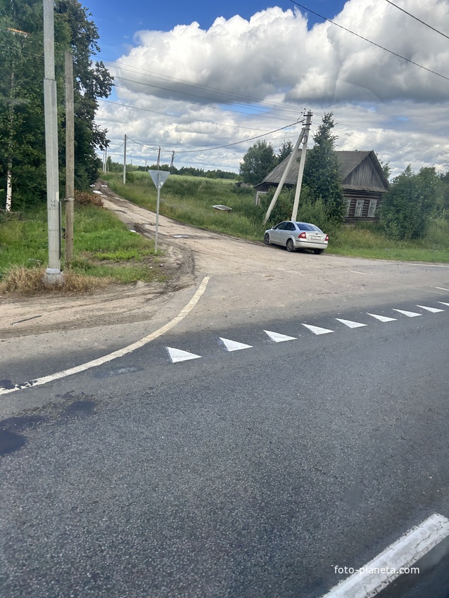 Новинцы