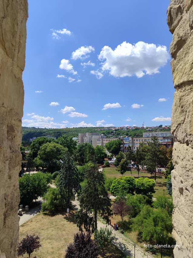 Сороки / Сорока