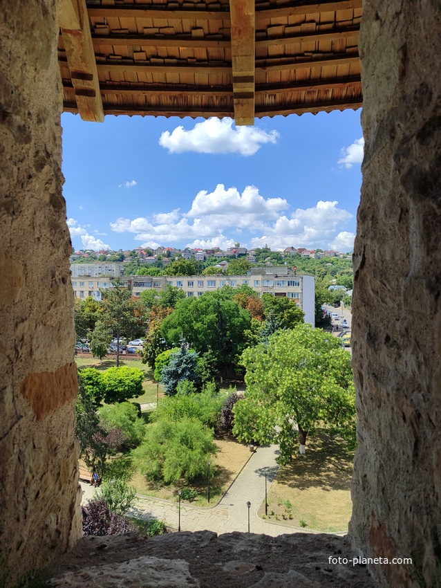 Сороки / Сорока
