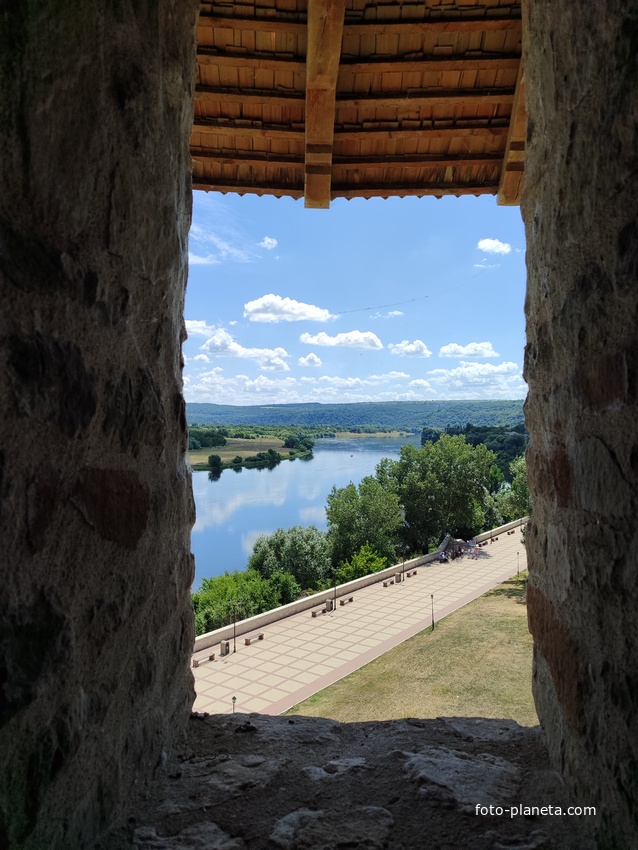 Сороки / Сорока