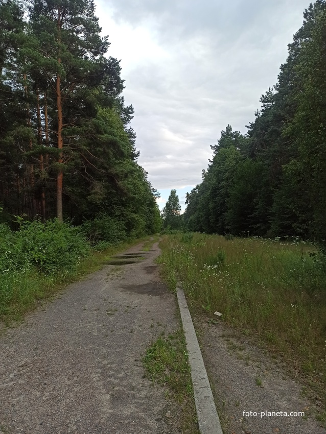 Старый парк в лесу. ул. Свердлова близ автостанции