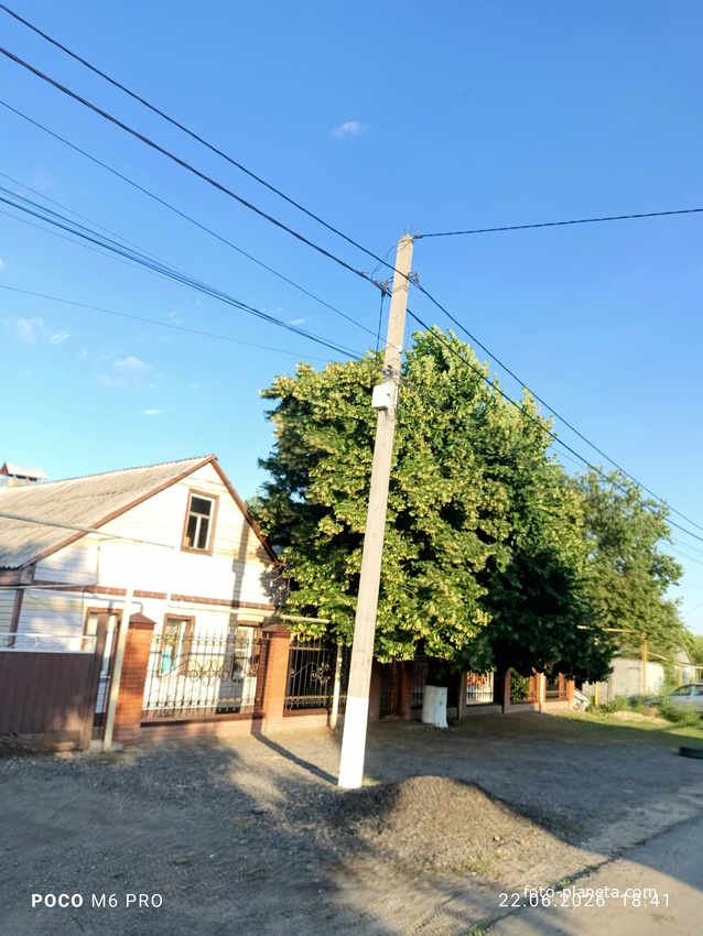 Дом и дерево Багаевская
