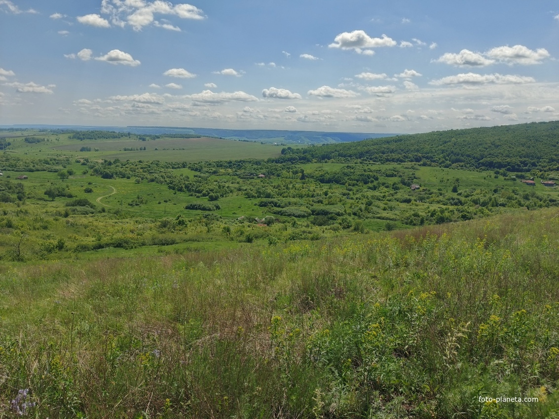 Вид на село Вишневое и гору Медвежью от урочища Гузиков лес