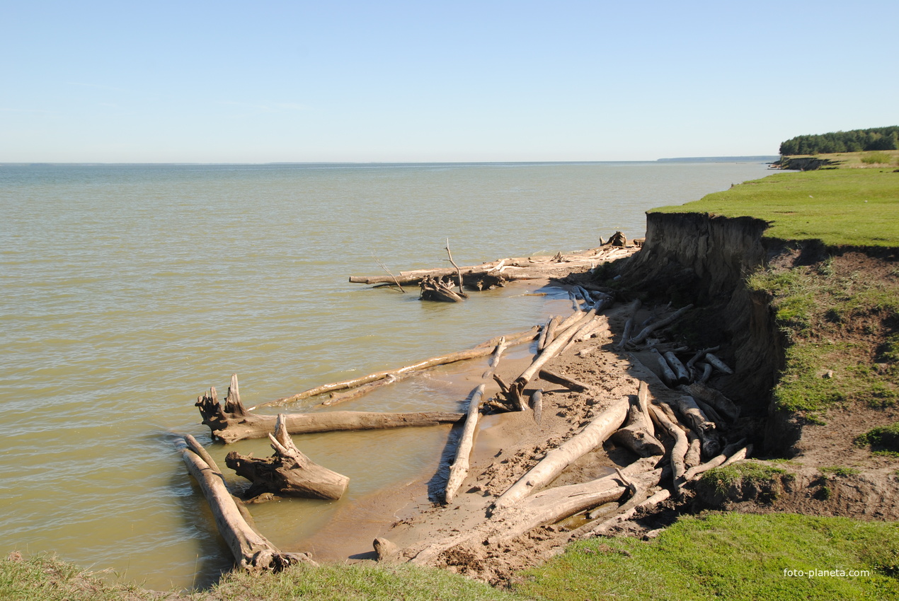 Берег Обского моря