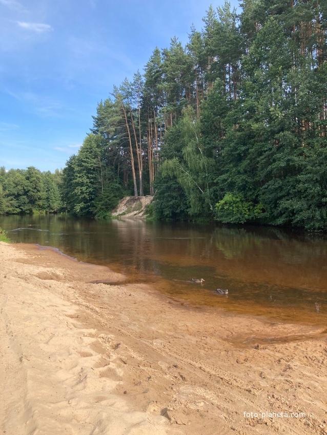 Река Линда в районе Рекшино - Полдень