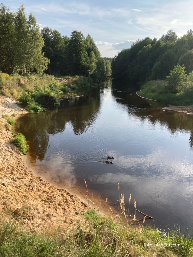 Река Линда в районе Рекшино
