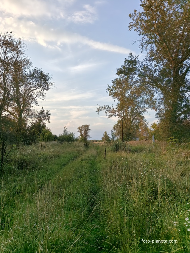 Улица