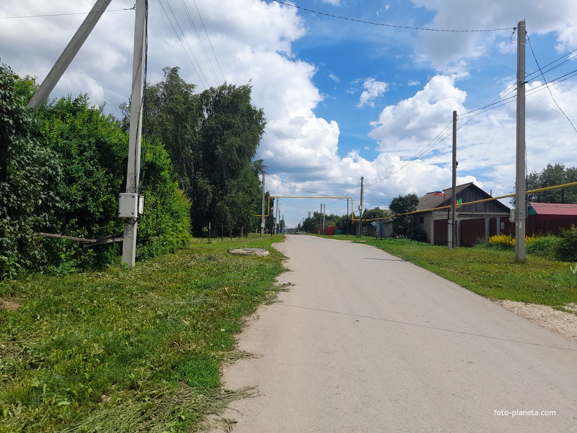 Центральная улица