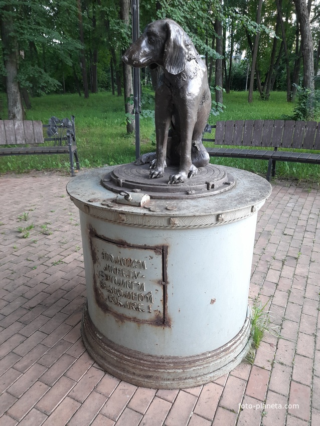 Памятник Бездомным собакам