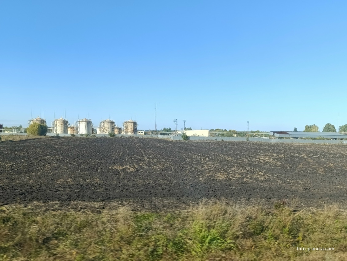 Деревня Бочаровка.