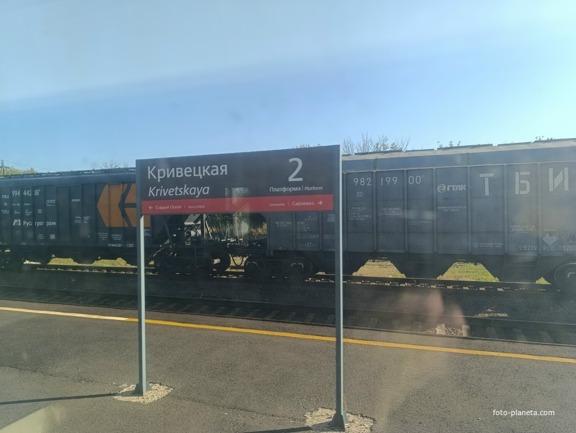 Станция Кривецкая в Бочаровке.