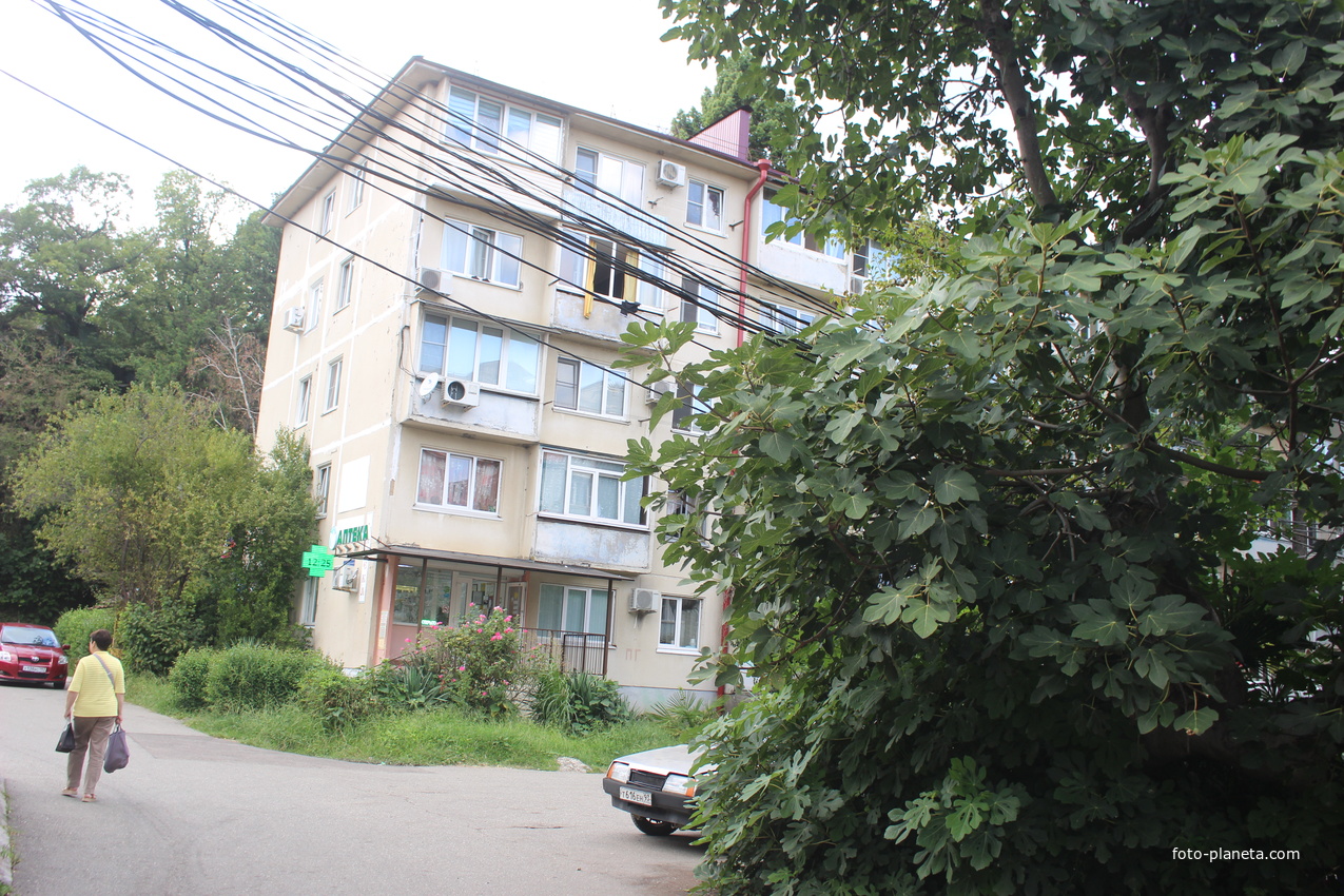 Ул. Центральная.