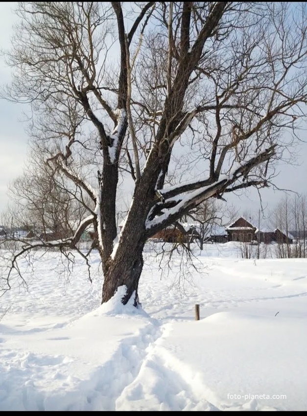 Пос Люля ул.Набережная Зима