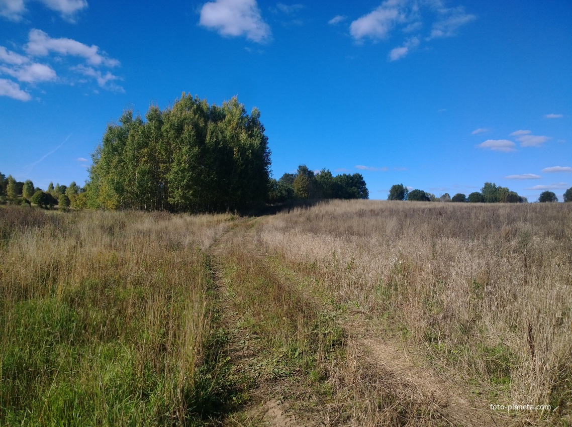 Дорога в Богородское