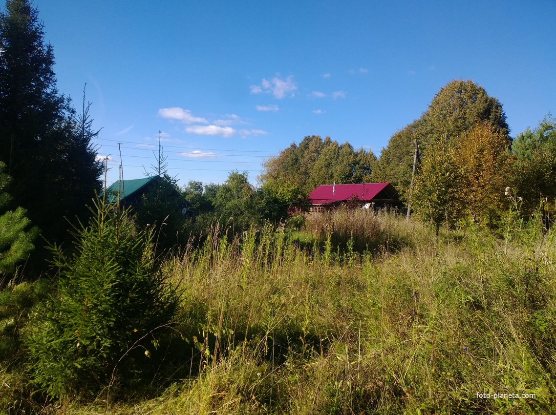 Богородское