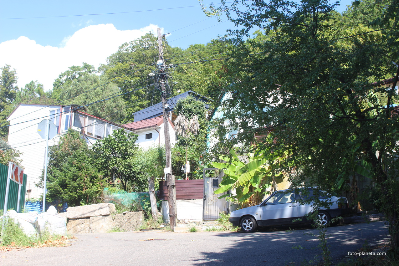 Чемитоквадже.