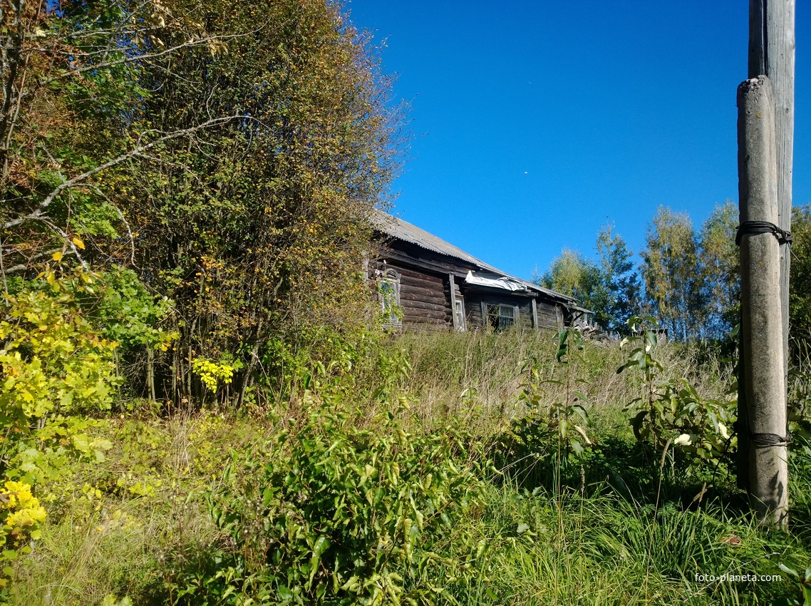 Богородское