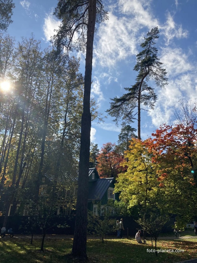 В дачном посëлке Переделкино