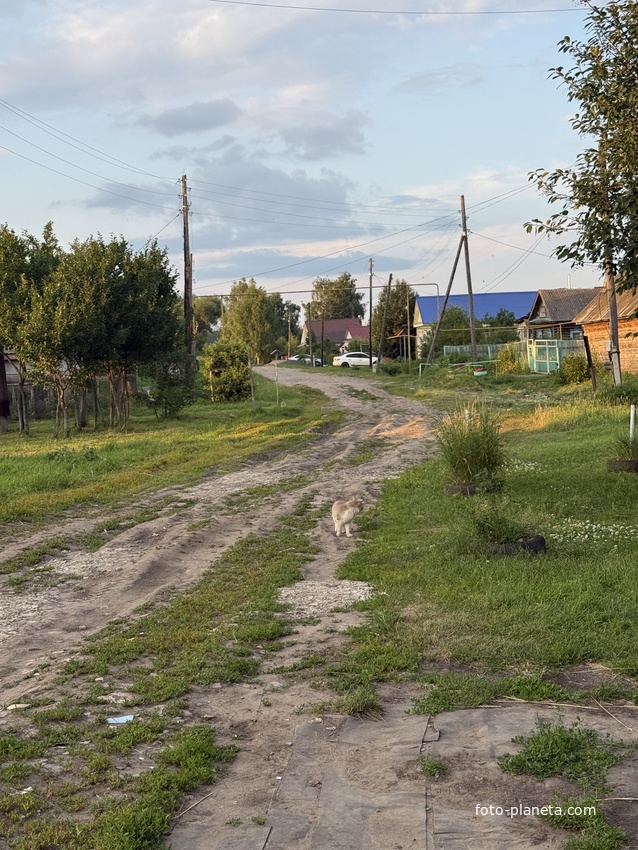 Старые Дубровки