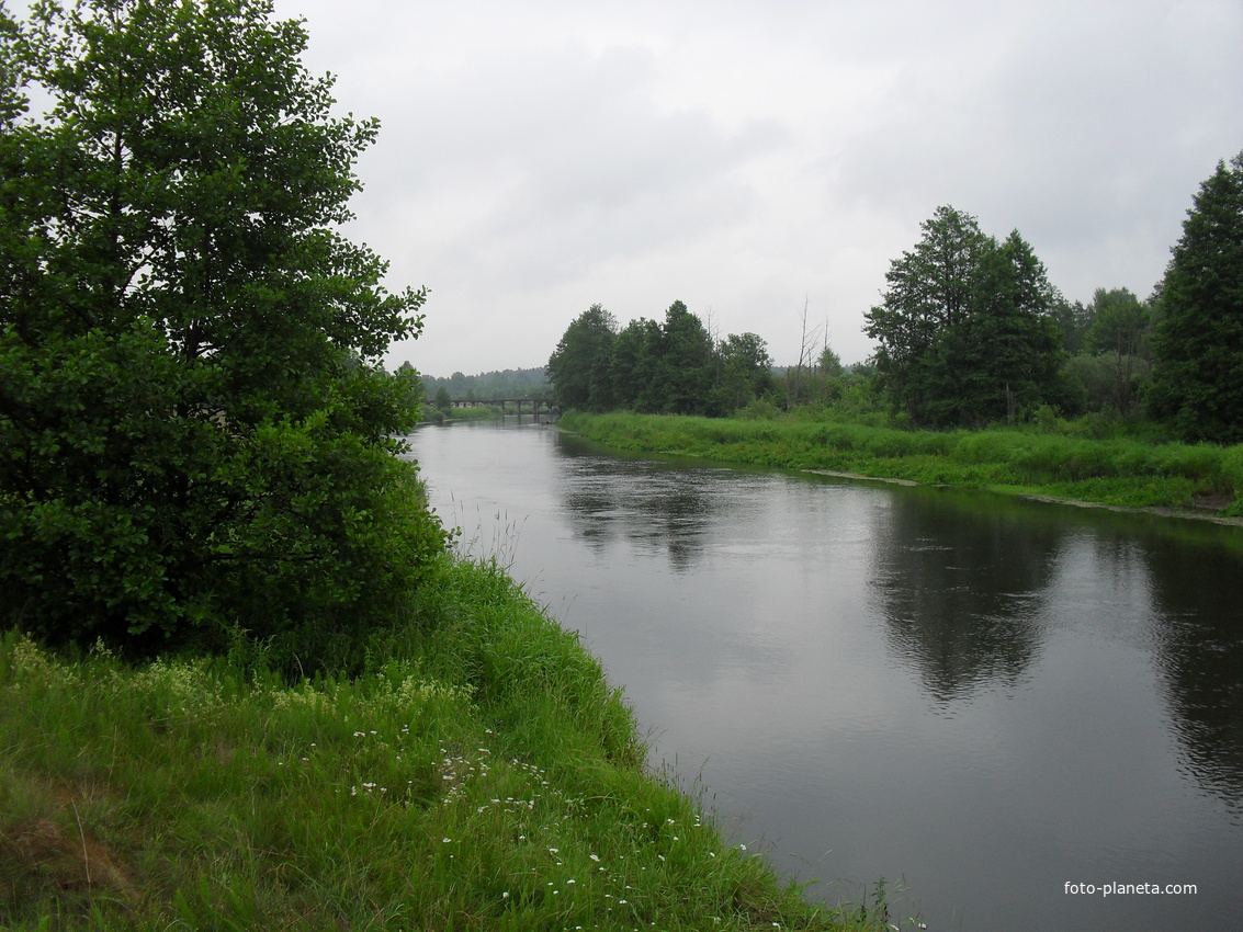 з.березина д.чапунь мост