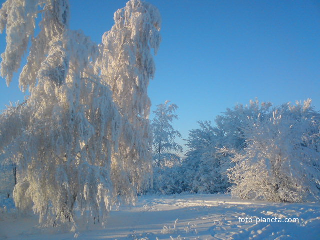 зима в с.дубравный