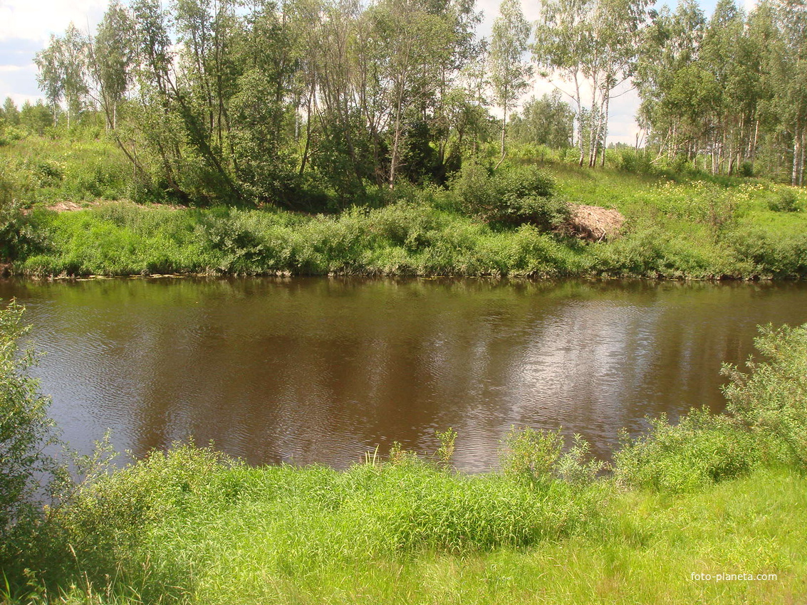 Днепр в д. Кузьмино